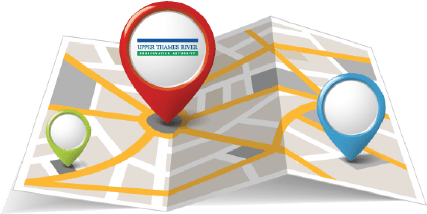 Web Mapping Icon